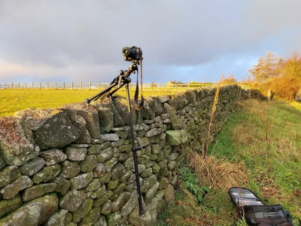 Classic Benbo Tripod No.2 - Image 2