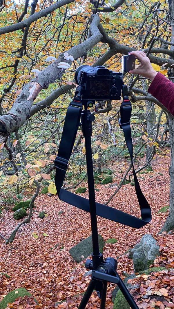 Classic Benbo Tripod No.2 - Image 4