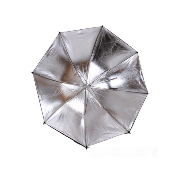 Silver Umbrella